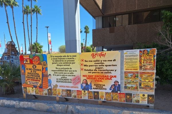 Picture of undefined