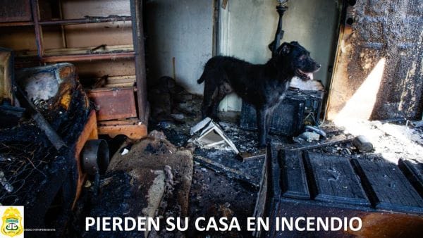 Picture of undefined