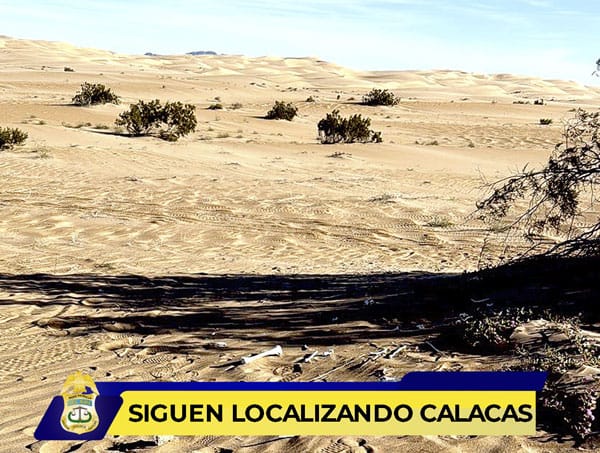 Picture of undefined