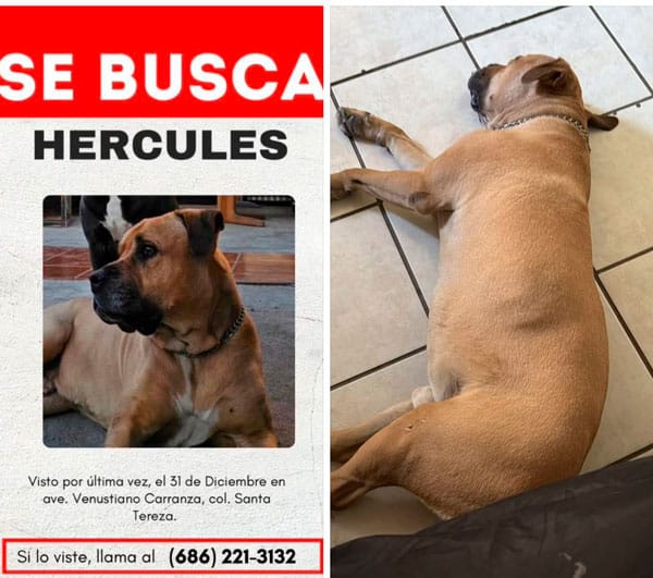 Picture of undefined