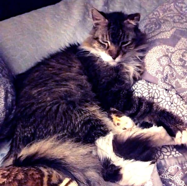 Picture of undefined