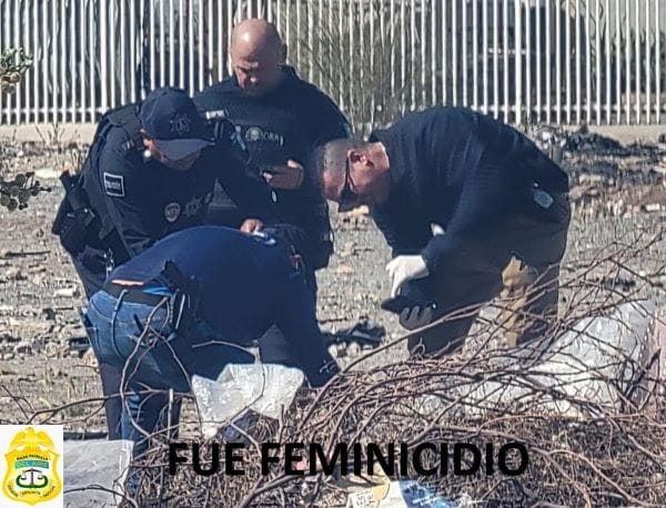 Picture of undefined