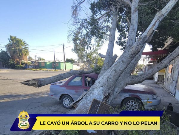 Picture of undefined