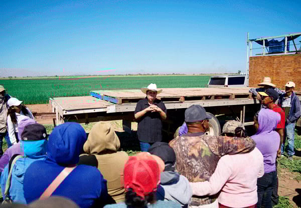 Picture of undefined