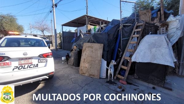 Picture of undefined