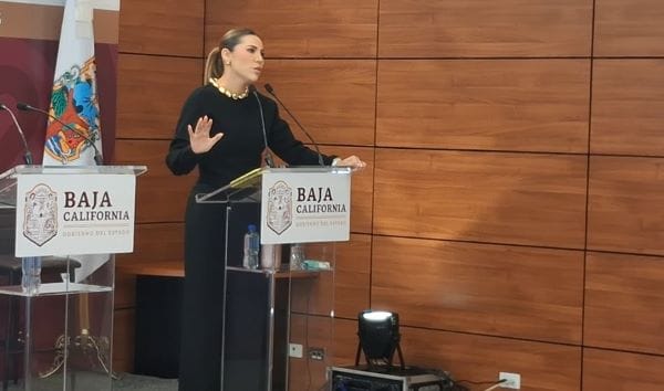 Picture of undefined