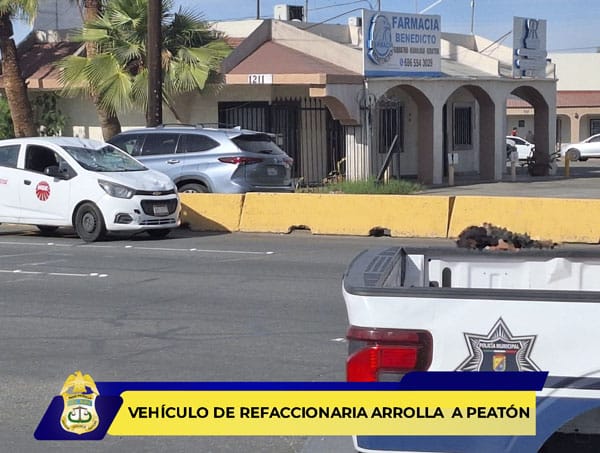 Picture of undefined