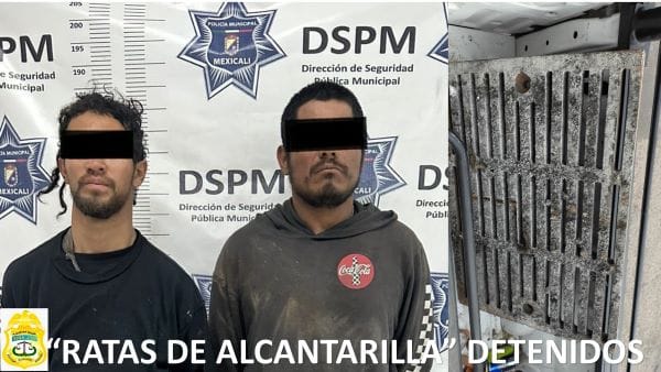 Picture of undefined