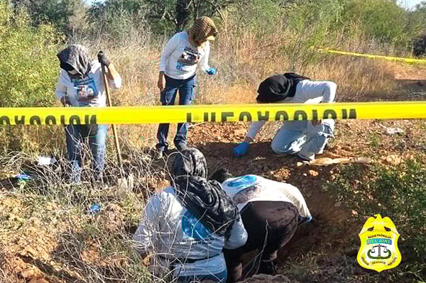 Picture of undefined