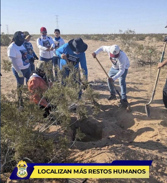 Picture of undefined