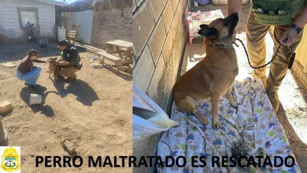 Picture of undefined