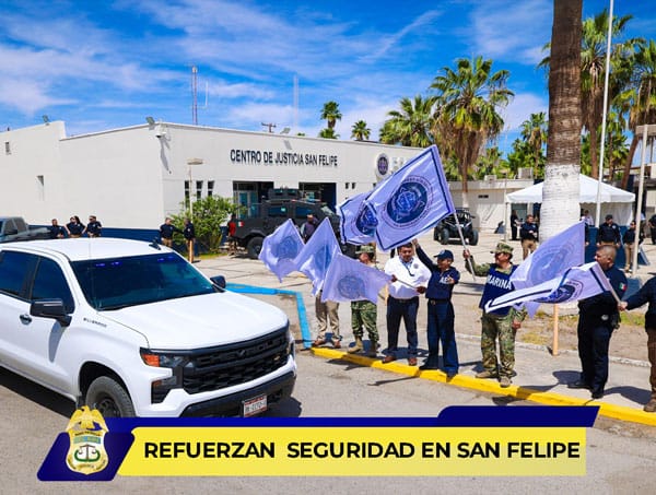 Picture of undefined