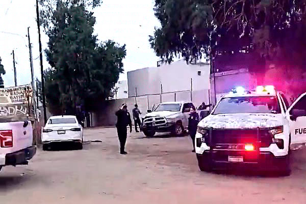 Picture of undefined