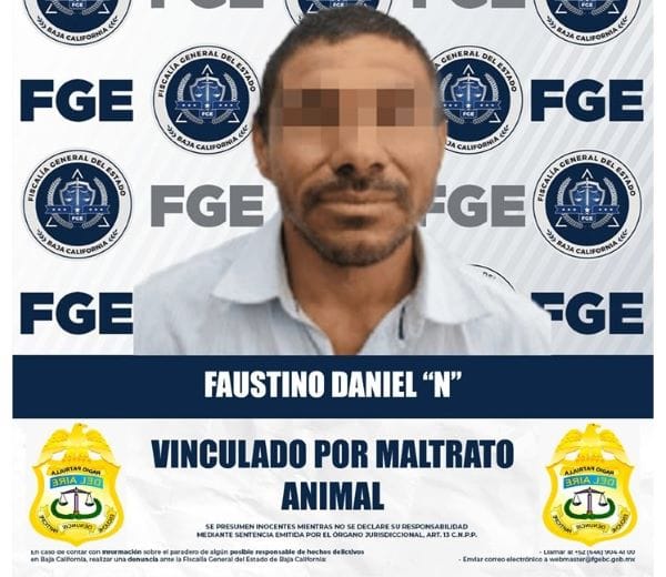 Picture of undefined