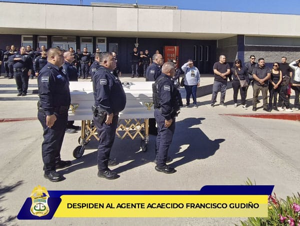 Picture of undefined