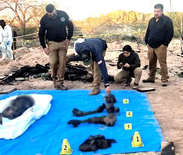 Picture of undefined