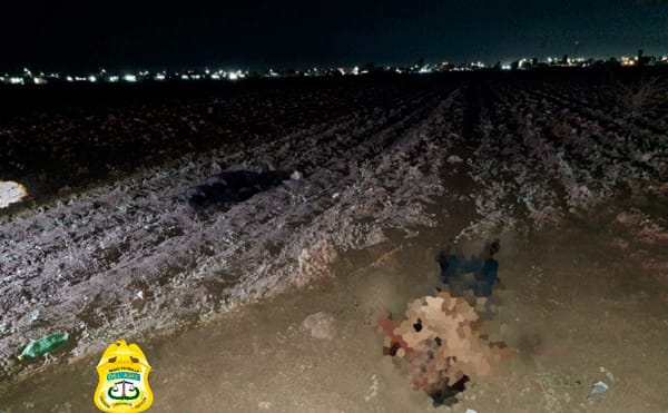 Picture of undefined