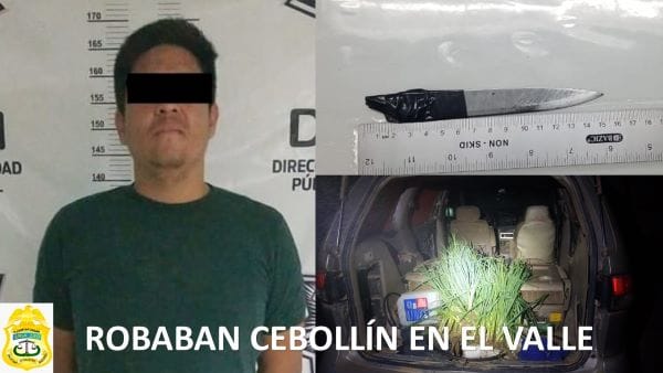 Picture of undefined