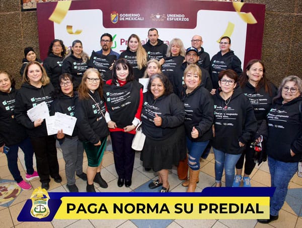 Picture of undefined