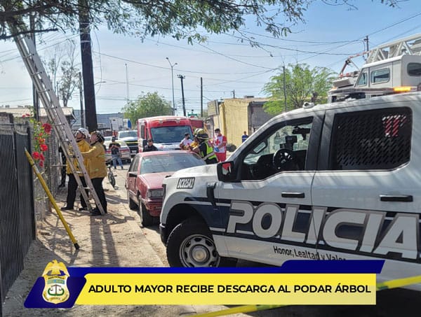 Picture of undefined