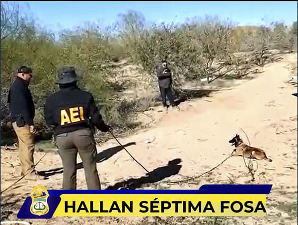 Picture of undefined