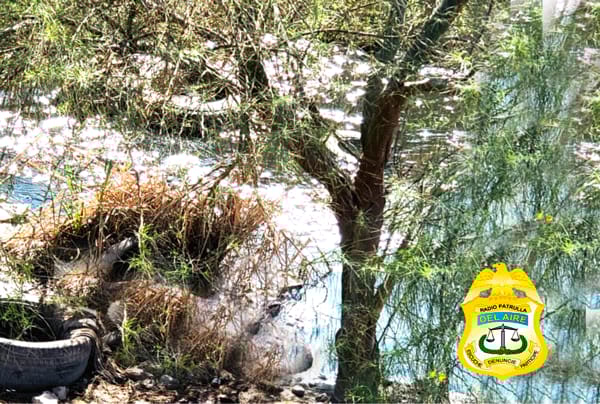 Picture of undefined