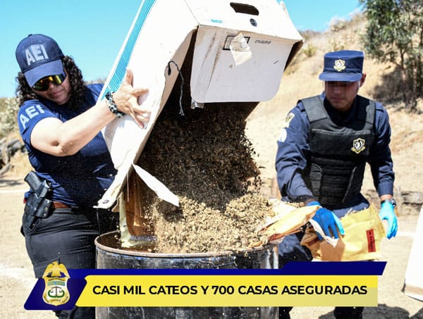 Picture of undefined