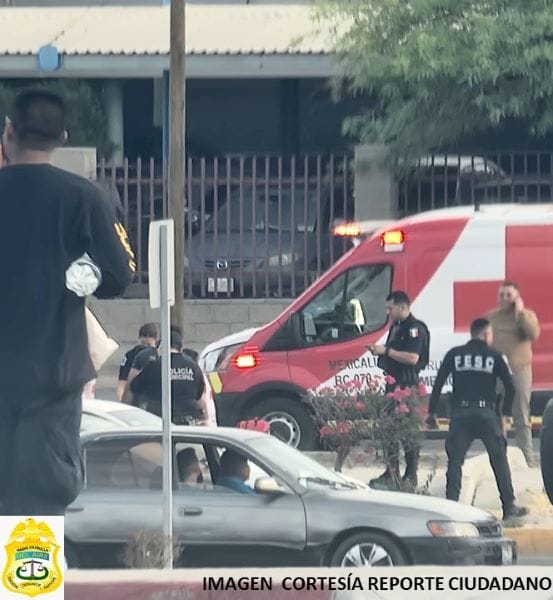 Picture of undefined