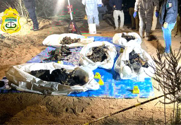 Picture of undefined