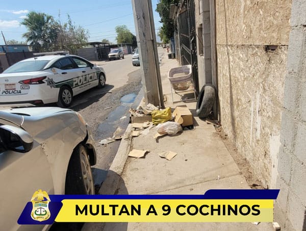 Picture of undefined